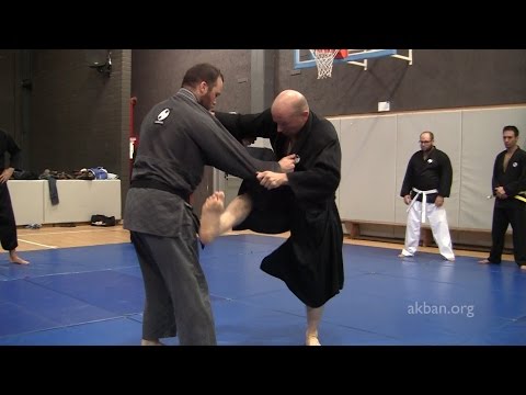 Видео: Удары ногами в ниндзюцу против приёмов ММА и приёмов дзюдо — Йосси Шериф