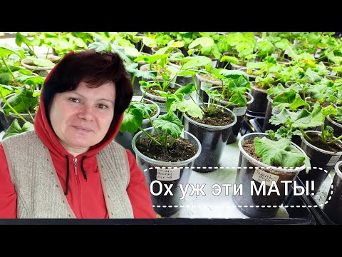 Видео: Нюансы использования капиллярных матов.