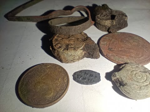 Видео: Покапушки з дінкою на полі, срібна луска.