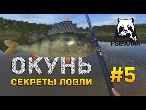 Видео: Русская рыбалка 4 #5 - Окунь. Секреты ловли на озере Комариное