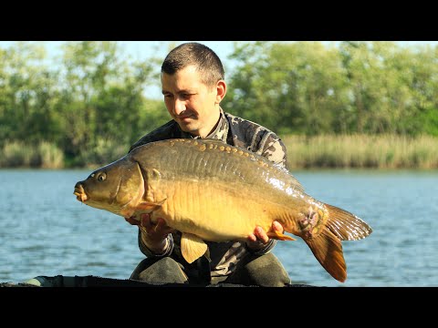 Видео: РАЗГИБАЮТ КРЮЧКИ В ПУХ и ПРАХ.  РЫБАЛКА НА КОМБИ-РИГ. ЭКСПЕРЕМЕНТ С ТРОФЕНЫЙ МОНТАЖЕМ.