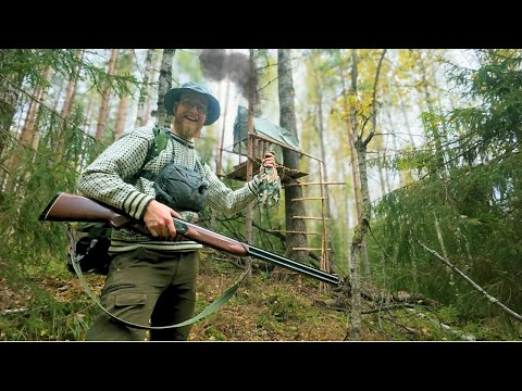 Видео: Я построил ДОМ НА ДЕРЕВЕ и ДОБЫЛ себе еду [без спального мешка]