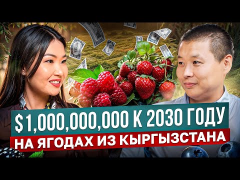 Видео: $1 МЛРД к 2030 на ЯГОДАХ – Прорыв для Кыргызстана!? / Тилек Токтогазиев