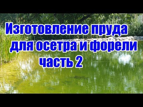 Видео: Изготовление пруда для осетра и форели (часть 2)