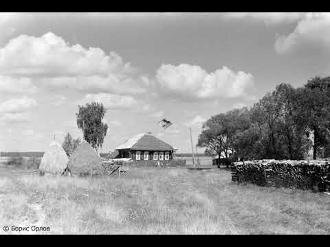 Видео: Вичуга 70-х Разные виды