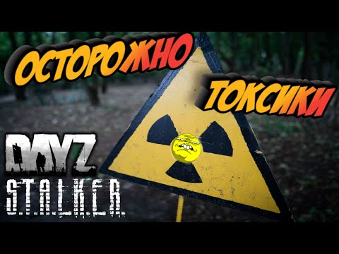 Видео: Конфликты в ЗОНЕ: Достойный выход (DayZ STALKER RP)