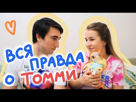 Видео: ТОММИ ЧИХУАХУА: НАМ УЖЕ 5 МЕСЯЦЕВ 🐶 МИНИ ЧИХУАХУА | УХОД, ПИТАНИЕ, ТРУДНОСТИ ВОСПИТАНИЯ