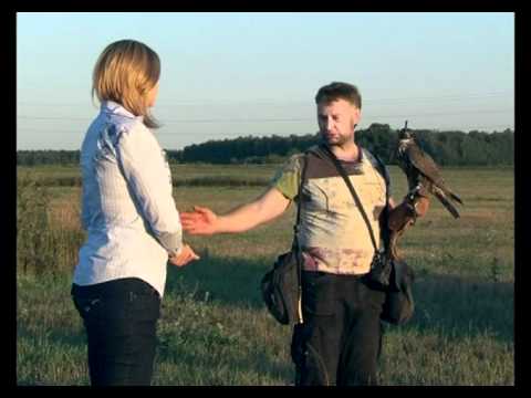 Видео: Соколиная охота. Живой дом серия 73