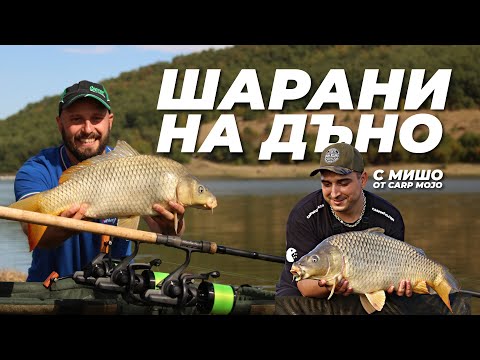 Видео: ШАРАНИ на ДЪНО - РИБОЛОВ и МОНТАЖИ с CARP MOJO