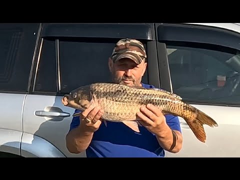 Видео: РЫБАЛКА р. АЛЕЙ р. ОБЬ АЛТАЙСКИЙ КРАЙ.