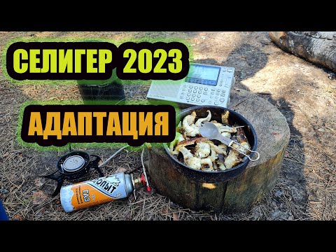 Видео: СЕЛИГЕР 2023 АДАПТАЦИЯ