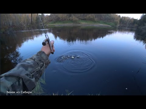 Видео: Щуки, глухари и рябчики в тайге! часть 3