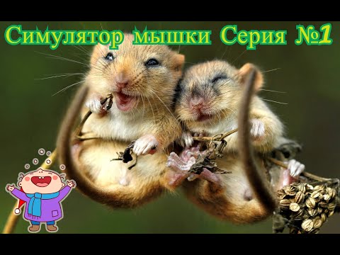 Видео: Симулятор мышки №1 -  Мышка выполняет задания. Детские игры. Знакомство с миром. Открытий Лес.