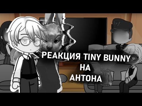 Видео: Реакция Tiny Bunny на Антона/Нового одноклассника