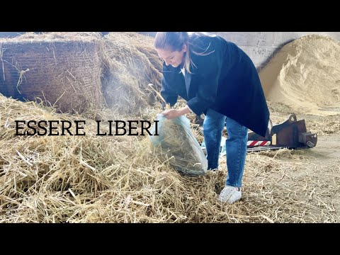 Видео: Продажа сыра рикотта и домашнего примо, приподнятый сад | Жизнь в деревне | ДОМ ЖЕНЩИНА С ЛЮБОВЬЮ