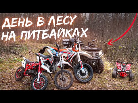 Видео: ЦЕЛЫЙ ДЕНЬ В ЛЕСУ НА ПИТ-БАЙКАХ! ПРОБУЕМ КВАДРОЦИКЛ!