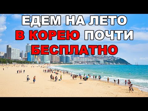 Видео: Как уехать в Корею на лето почти бесплатно. Возможность для студентов и не только