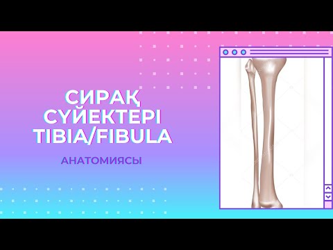 Видео: АСЫҚТЫ ЖІЛІК/ АСЫҚТЫ ЖІЛІК ШЫБЫҒЫ/ TIBIA/ FIBULA