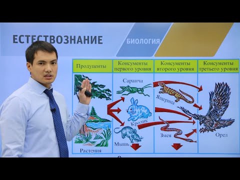 Видео: Подготовка к I-этапу олимпиады IQanat по предмету "Биология"