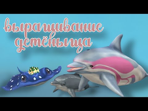 Видео: ВЫРАЩИВАЕМ ДЕТЁНЫША в Ocean World 🐬