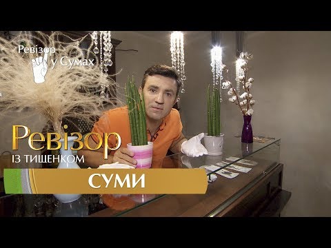 Видео: Ревизор c Тищенко. 8 сезон - Сумы - 23.10.2017