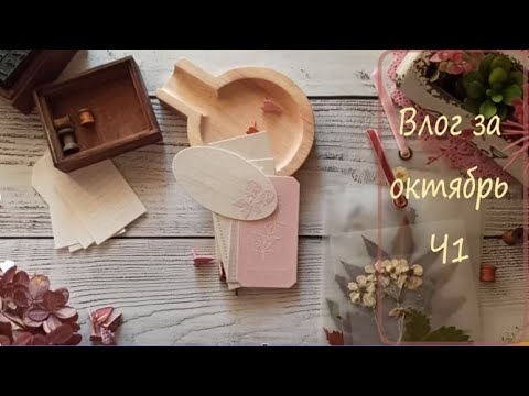 Видео: 24/2024 Влог за октябрь Ч1 Скраппокупки и немного из нового альбома