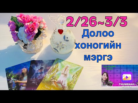 Видео: Долоо хоногийн мэргэ. 2/26~3/3
