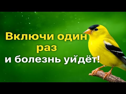 Видео: ☝️Слушай ЭТУ дуа один раз и болезни исчезнут навсегда! 🌹🤲💯