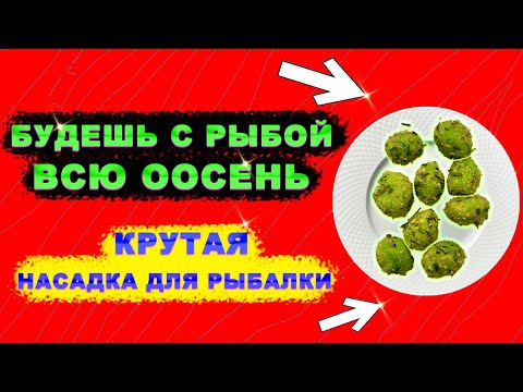 Видео: Насадка для рыбалки на КАРПА, КАРАСЯ, ЛЕЩА. Не слетает с крючка, ароматная.