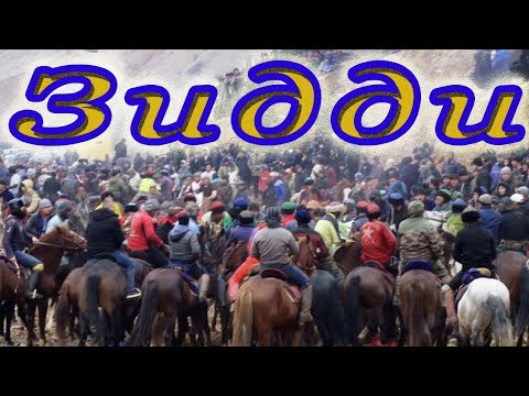 Видео: Бузкашии д. Зидди 03 02 2024