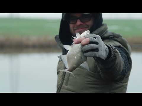 Видео: Фидерная Ловля Подлещика на Реке в Зимнюю Оттепель