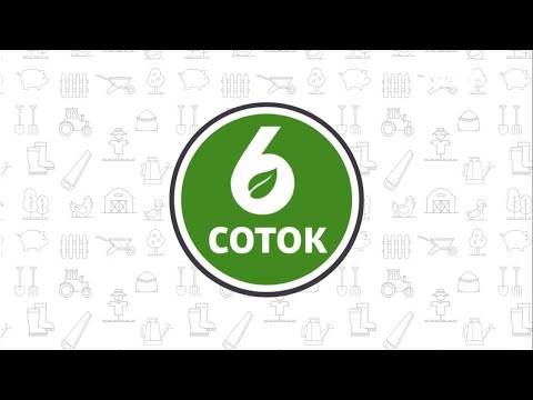 Видео: Советы виноградаря. Репортаж ТВ "6 соток"