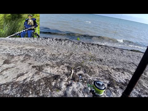 Видео: Пеленгас  Бердянский стандарт на дешевые снасти