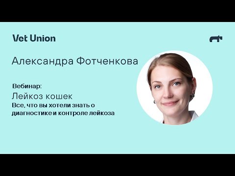 Видео: Лейкоз кошек. Все, что вы хотели знать о диагностике и контроле лейкоза.