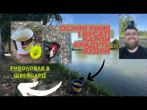 Видео: РИБОЛОВЛЯ біля ГОТЕЛЮ, чи можна щось впіймати? В ПОШУКАХ ТРОФЕЮ !