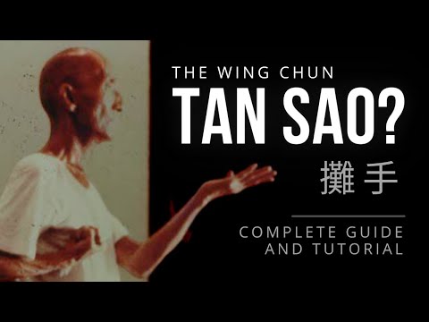 Видео: Как делать Тан Сао 攤手 — полное руководство и урок
