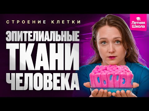 Видео: 1. Строение клетки. Эпителиальные ткани человека | Летняя школа | ЕГЭ-2026 по биологии