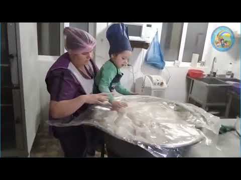 Видео: "Ардақты әкелер, асыл әжелер, аяулы аналар" байқауы.