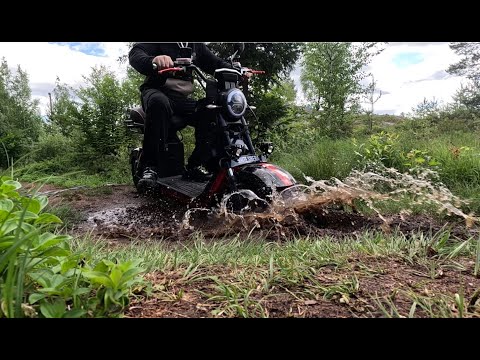 Видео: ЖЕСТКИЙ OFF-ROAD В ЛЕСУ! НА ЭЛЕКТРО СКУТЕРЕ! ОН МОЖЕТ....CITY COCO 2 WD# WHITE SIBERIA#