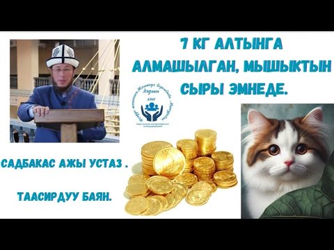 Видео: 7кл алтынга алмашылган мышыктын сыры эмнеде.