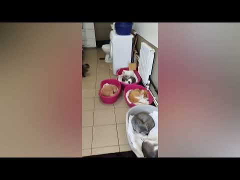 Видео: Любая помощь - как глоток свежего воздуха🙏🏼