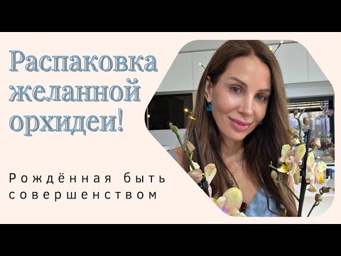 Видео: Распаковка орхидеи- мечты! Фаленопсис Фонда бабочка- рождённая из нежности. Обзор сорта.