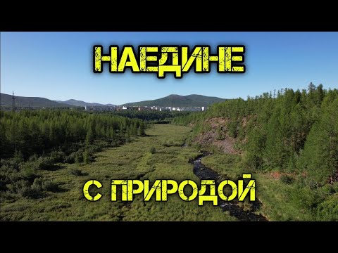 Видео: Наедине с природой.