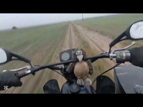 Видео: Лайт выезд. МТ 11 Днепр. Мысли в слух.