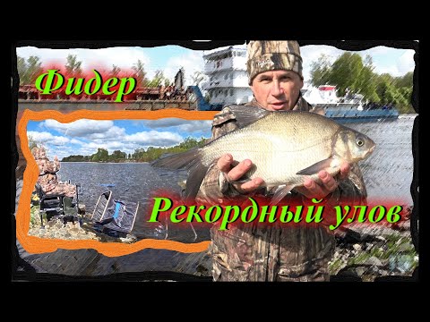 Видео: Фидер. Рекордный улов. Лещ и густера. Рыбалка на Канале им. Москвы.