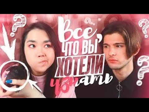 Видео: Всё, Что Вы Хотели Узнать