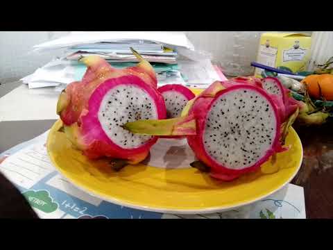 Видео: Питахайя часть 2