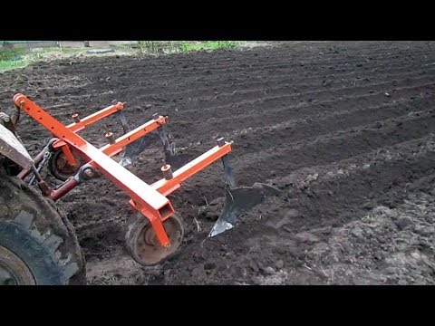 Видео: Посадка картошки под окучник.