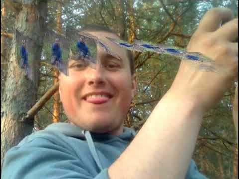 Видео: Наше рідне село і братва с.Текля!!!