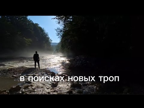 Видео: увидеть это , я точно не ожидал